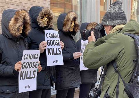 canada goose china protest